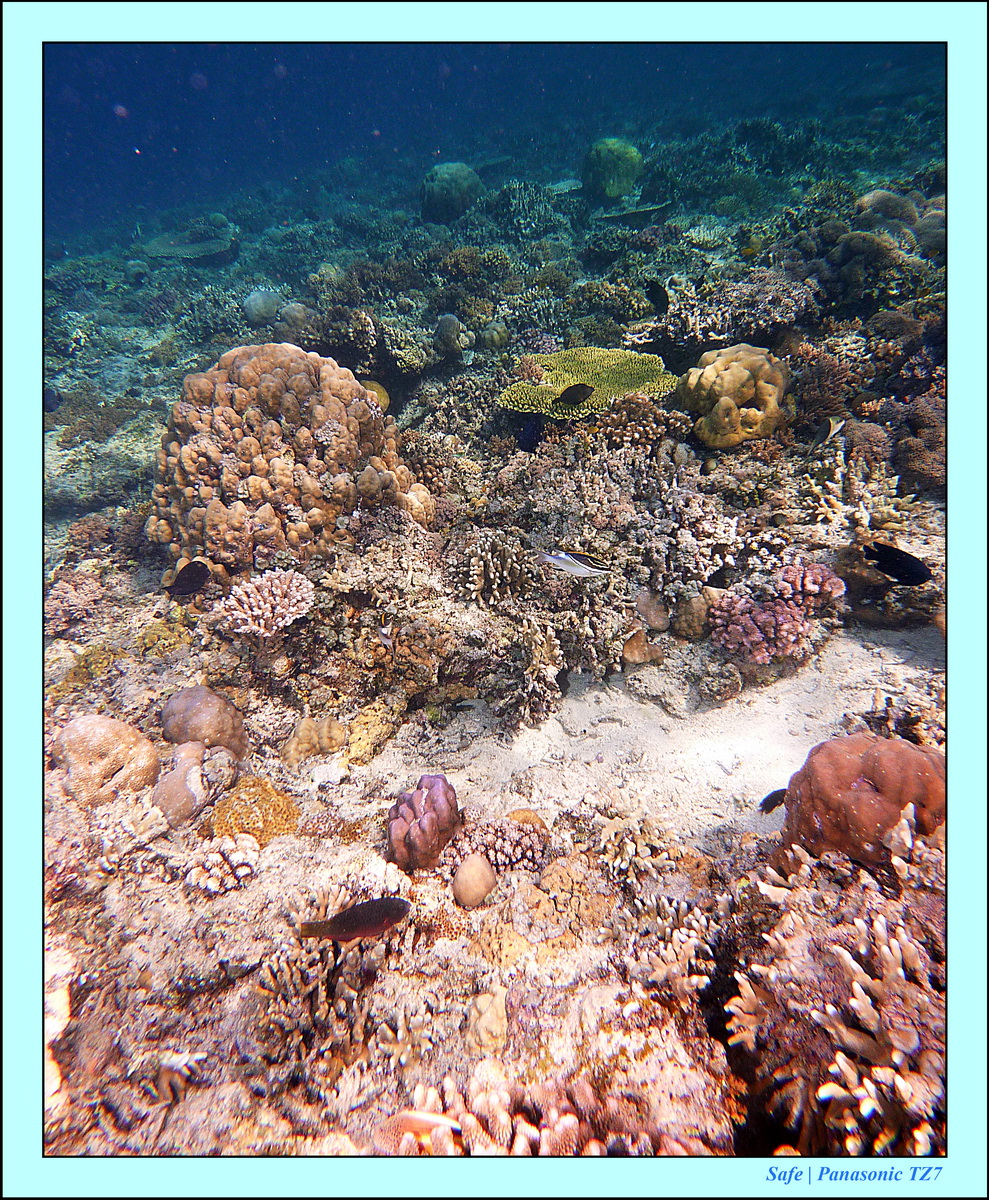 2012 - 07 - Gili - 81